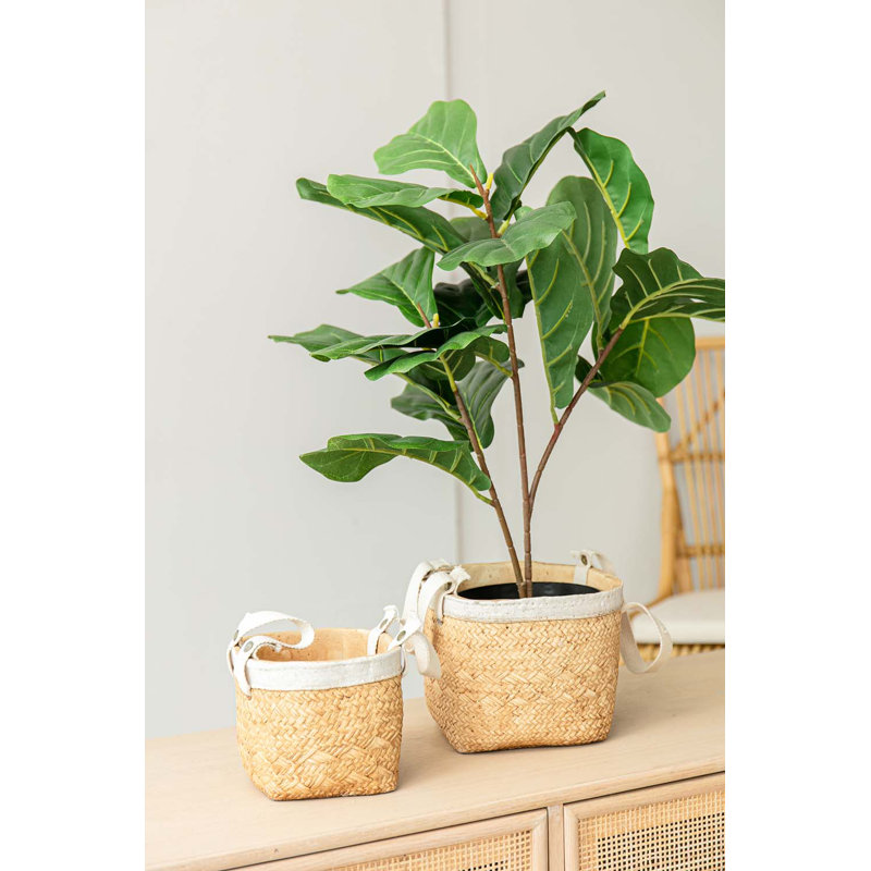 Valdes Pot Planter
