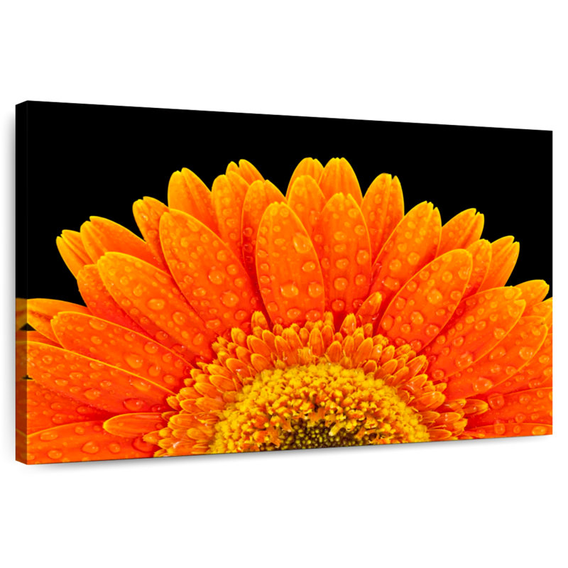 Harnek Gerbera Flower Dewdrops, 20" H x 30" W
