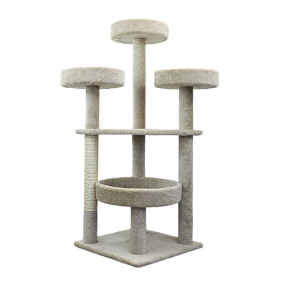 Maine Coon 61'' H Cat Tree