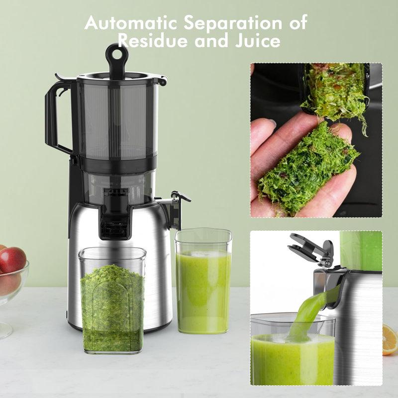 Centrifugeuse 300 W à pressage à froid: 5,4 po de largeur, mastication lente, fonction inversée, acier inoxydable - Machine à jus de fruits et légumes facile à nettoyer