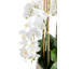 Briar Realtouch Orchid Arrangement