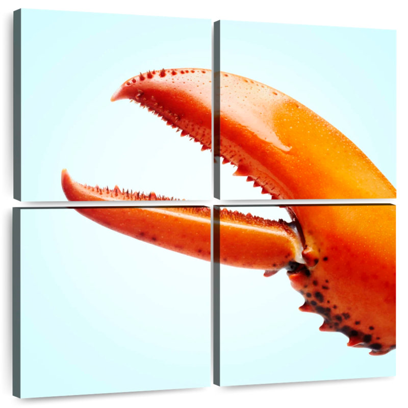 Griffe de homard rouge Brampt, H 18 po x l 18 po