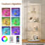 Display Cabinet-640038382