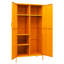 Alazhia Steel Wardrobe-2118603198