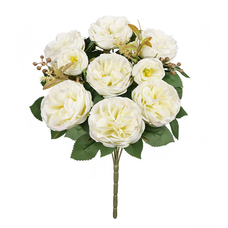 Chou rose, Blanc crème