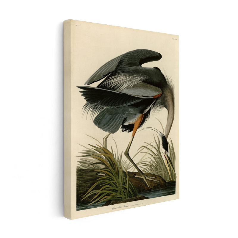 John James Audubon - Grand héron bleu, Unframed, Canvas, 24"H x 32"W