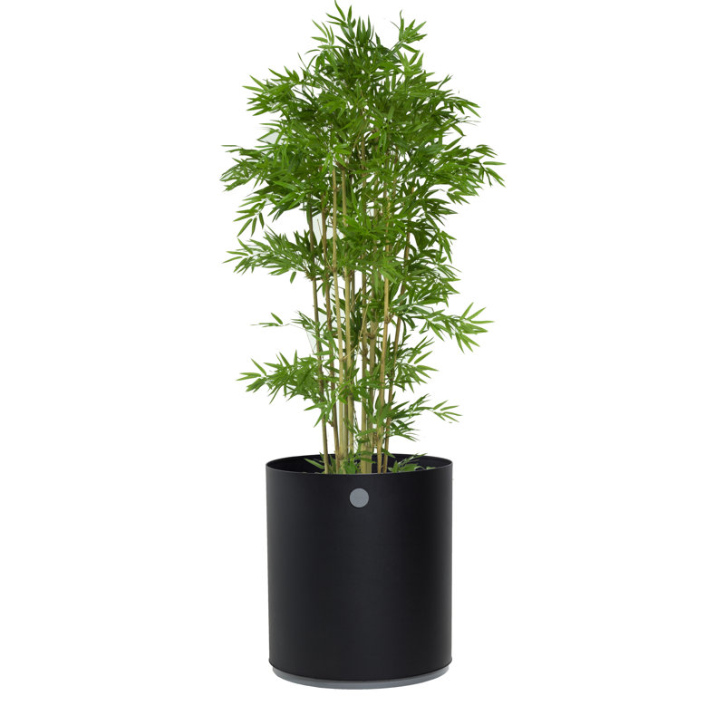 Grow Metal Planter, Lava Gray/Light Gray, 24.1" H x 21.3" W x 21.3" D