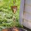 Chaîne de pluie Kammerer Crocus-1154323660-1154323661