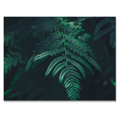Feuille de fougère vert foncé sur fond noir - reproduction sur toile