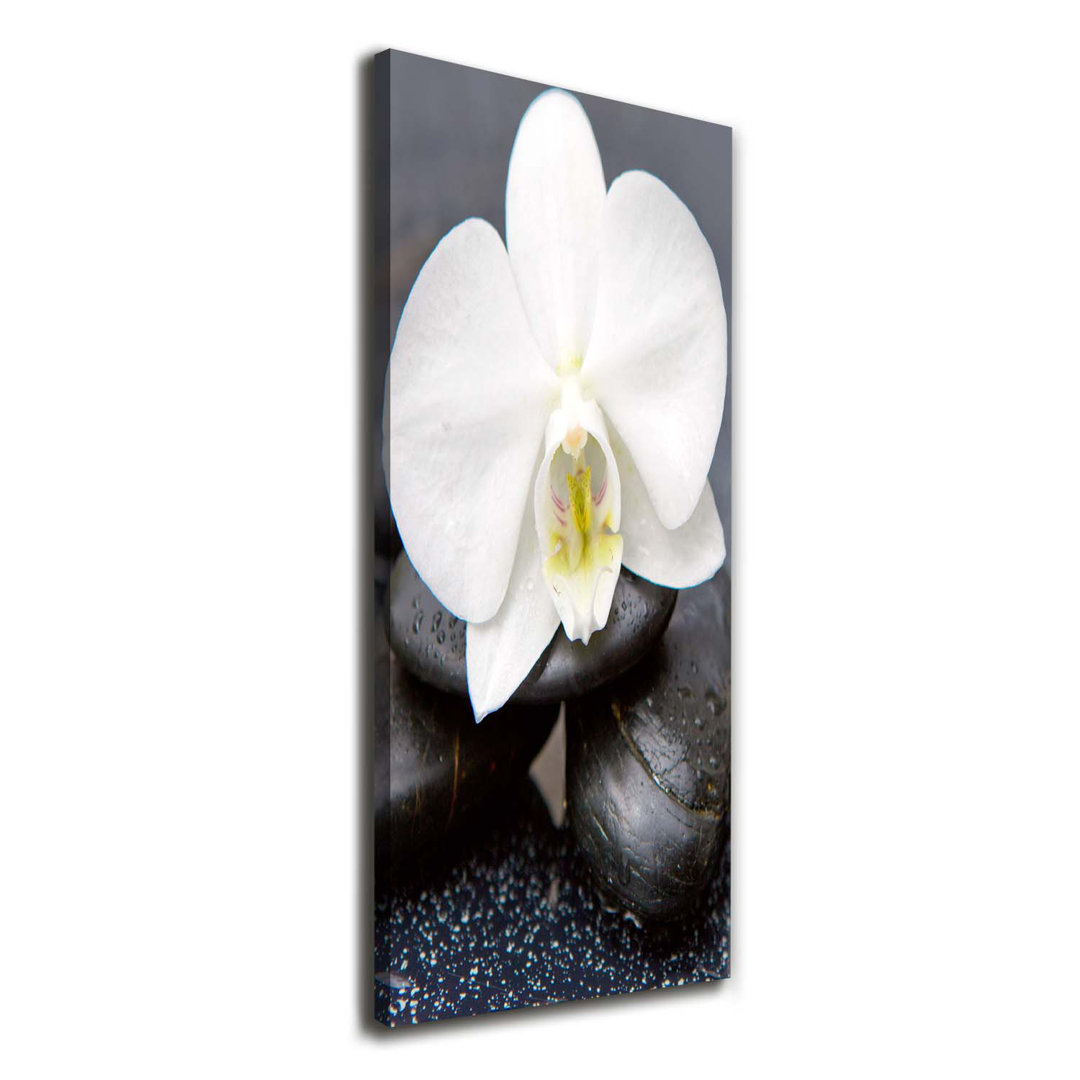 Orchid and Stones - Wrapped Canvas Art Prints