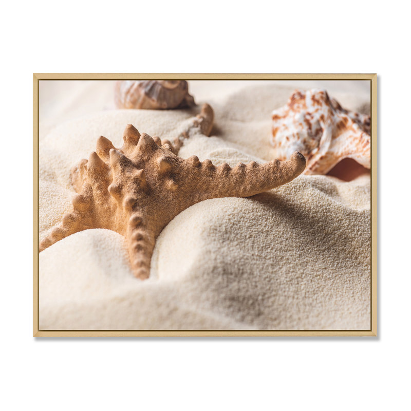 Étoile de mer et coquillage sur sable clair - photographie sur toile, Cadre érable, H 31 po x l 41 po x P 1,5 po