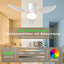 Ceiling Fan