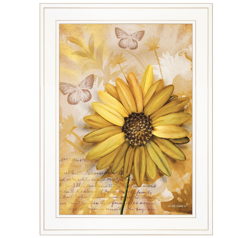 Fleurs et papillons II, art mural encadré pour le salon et la maison par Ed Wargo
