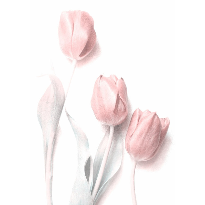 Wrapped Canvas Print, 76.2cm H x 50.8cm W