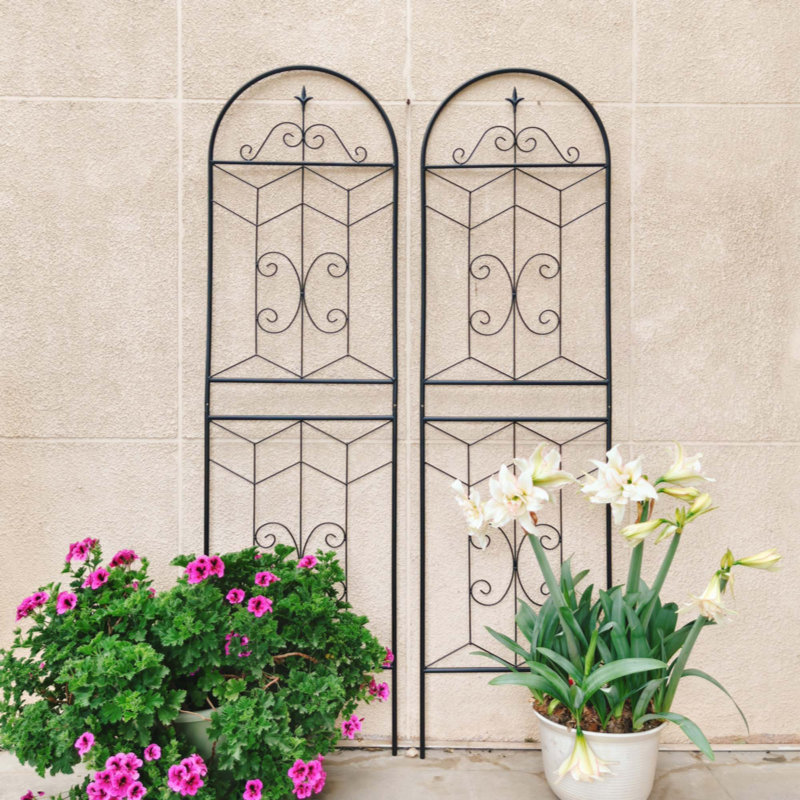 Ensemble de 2 treillis de jardin en métal 71 po x 19,7 po antirouille pour plantes grimpantes