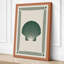 Scallop Shell Study Botanical - Wrapped Canvas-919214813-919214804