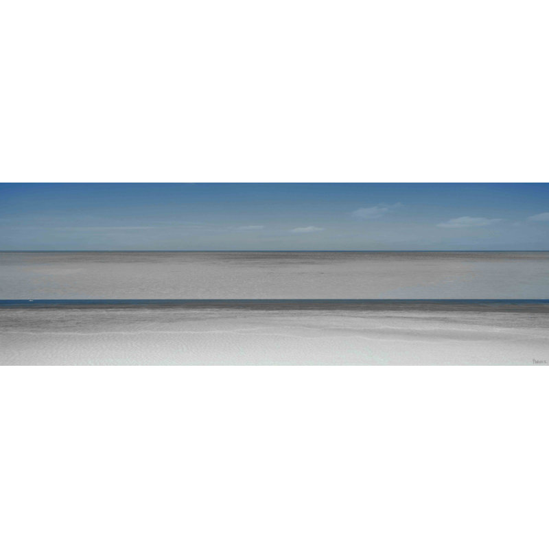 Parvez Taj - Wrapped Canvas Print, 38cm H x 114cm W