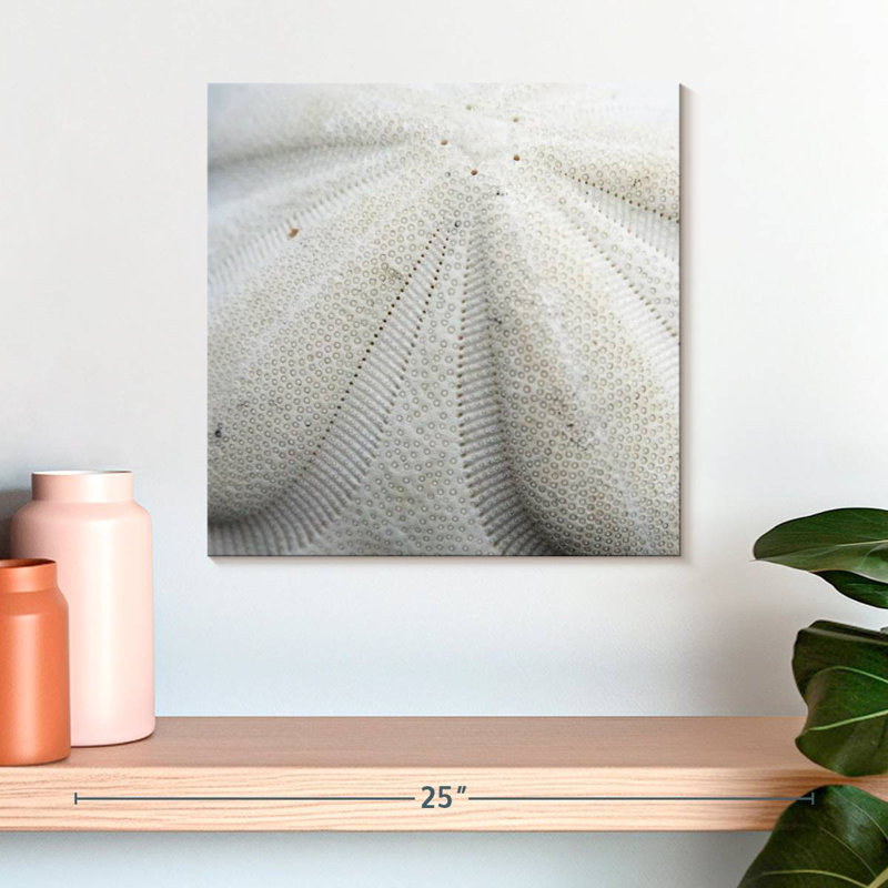 Crowle Textured Sand Dollar, 16" H x 16" W