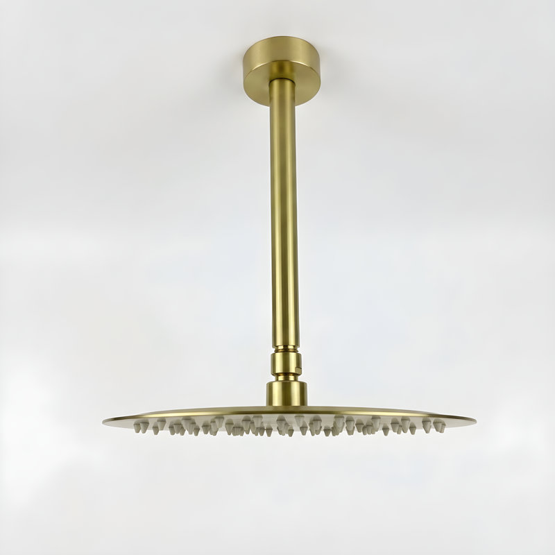 10-Inch High-Pressure Rain Shower Head With Shower Arm, Brushed Gold