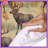 Elk Bedding-909828028