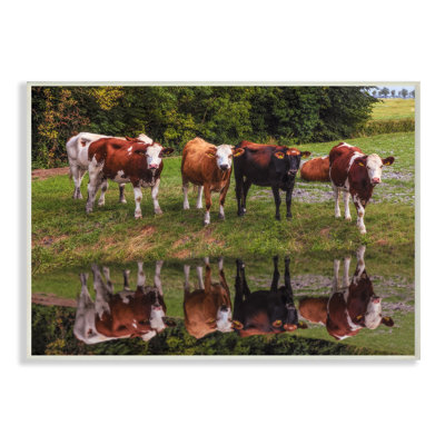 " A Line Of Cows At The Water Vibrant Photography " by Celebrate Life Gallery