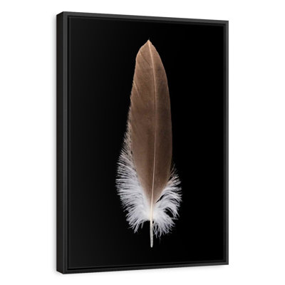 Eagle's Brown Feather