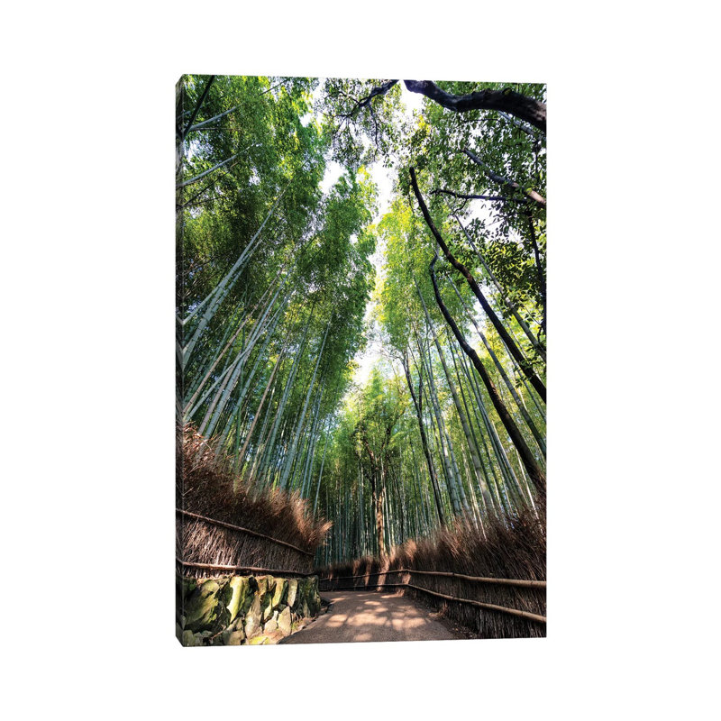 «Kyoto's Bamboo Forest» par Philippe Hugonnard - photographie sur toile tendue, H 12 po x l 8 po x P 0,75 po