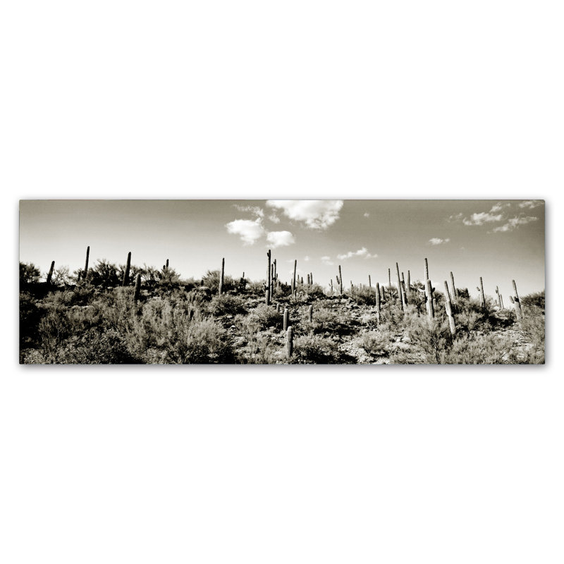 Sepia Desert Landscape Canvas Art with Wood Frame
