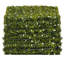 5cm Faux Hedge in Freestanding