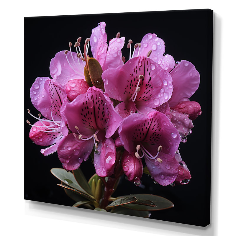 Singulier beauté des rhododendrons mauves II - art mural rhododendron, Toile tendue, H 36 po x l 36 po x P 1,5 po