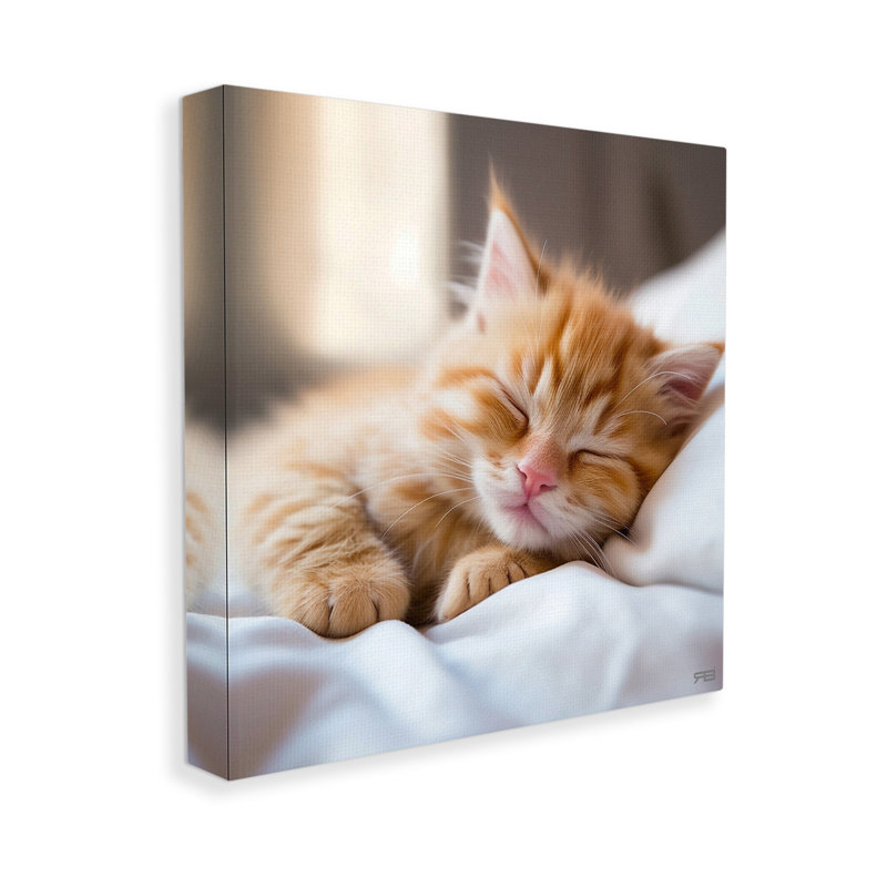 «Sleeping Orange Kitten», art mural par RB, H 30 po x l 30 po