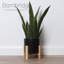 Fausse plante à plantes en pot 16 po Bornbridge-88345765