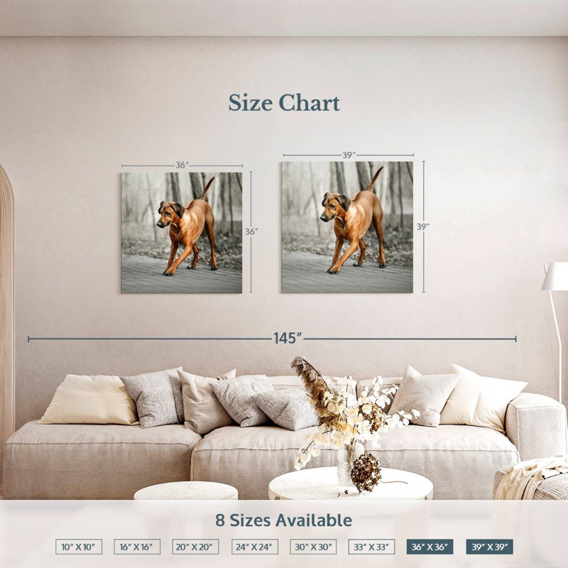 Brampt Rhodesian Ridgeback Puppy, 39" H x 39" W