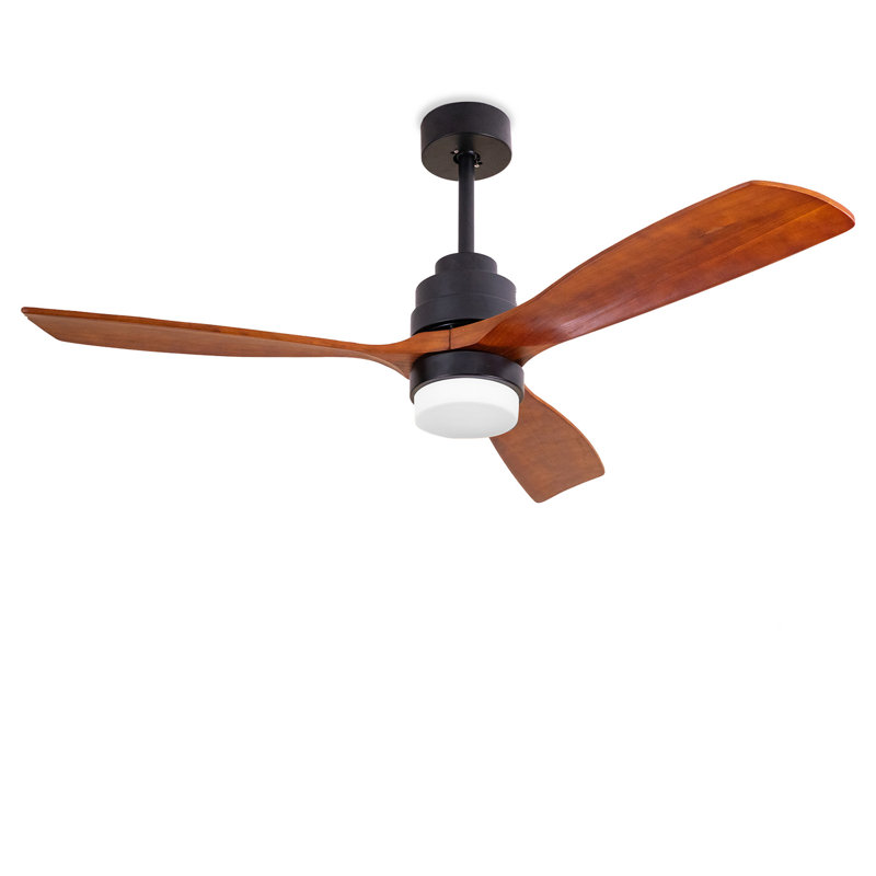 Carolee Ceiling Fan with LED Lights