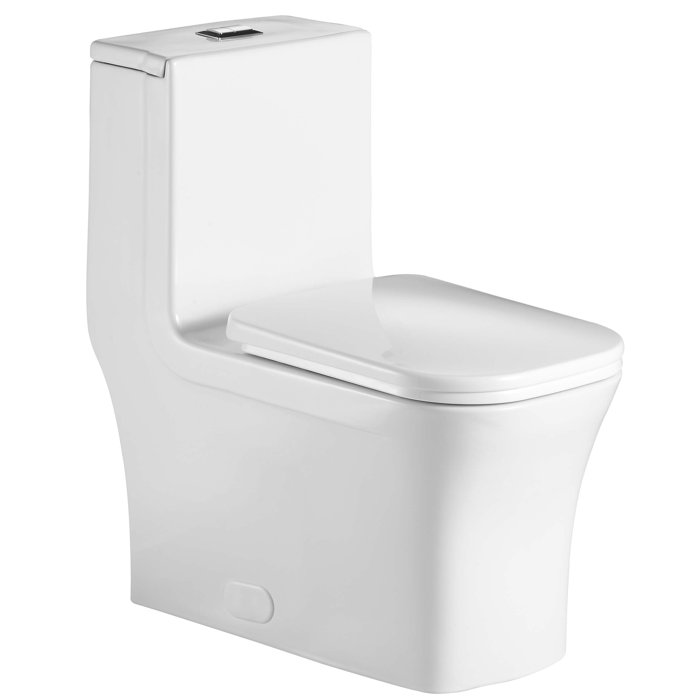 Fine Fixtures Dual-Flush Round One-Piece Toilet 10" Rough In (Seat Included