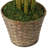 73" Silk Bamboo Tree in Basket