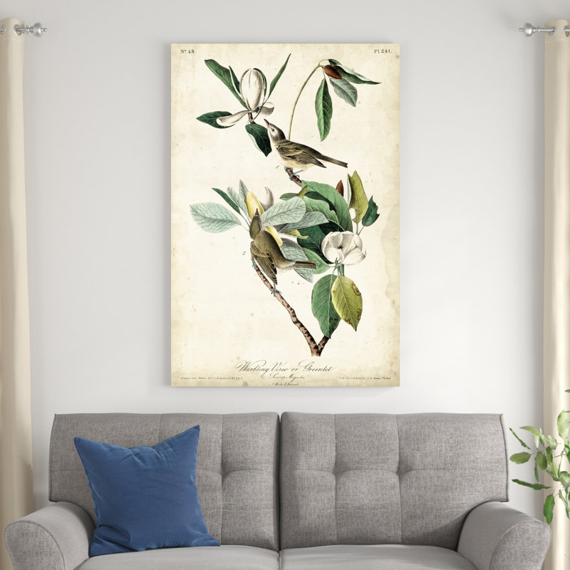 AU CH Warling Vireo, H 48 po x l 32 po x P 1,25 po