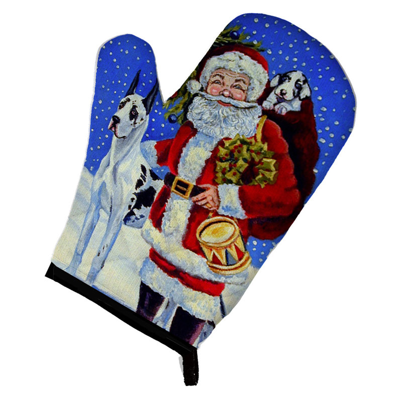 Grand danois avec mitaine de père Noël