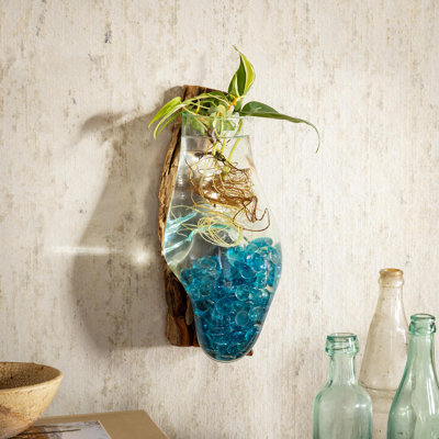 Wall Mounted Glass Planter on Driftwood