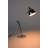 Reader Table Lamp
