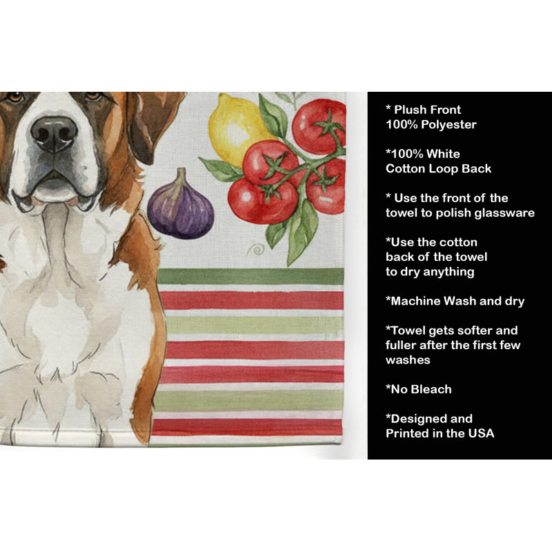Torchon brun et blanc Saint Bernard, Brown/White Saint Bernard