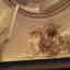 Customer photo 2 of 2