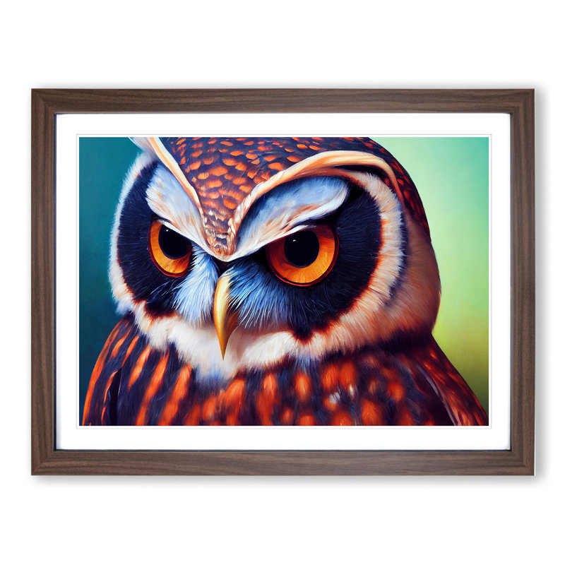 Brilliant Owl - Single Picture Frame Print, 46cm H x 64cm W x 2cm D, Walnut Framed