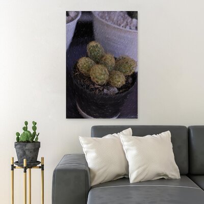 Green Cactus Plant In Pot 2 - 1 Piece Rectangle Graphic Art Print On Wrapped Canvas -  Foundry Select, 625A832DB1FF40EF8C53C57C75EAD443