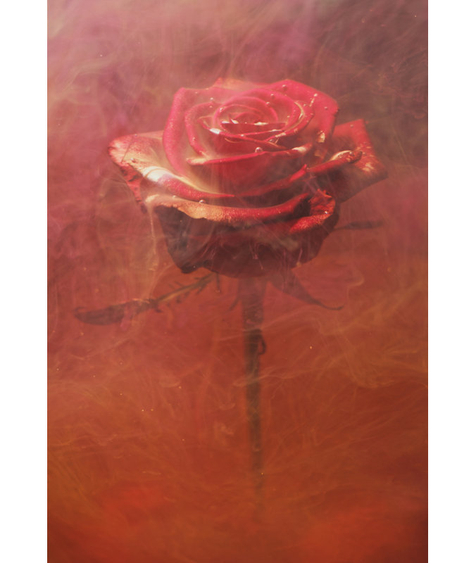 Wrapped Canvas Print, 121.92 cm H x 81.28 cm W