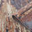 Abstract Indoor Rug-1964791819