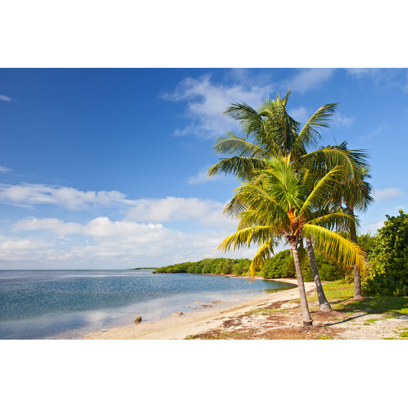 Tropical Florida Beach - photographie sur toile tendue, H 8 po x l 12 po