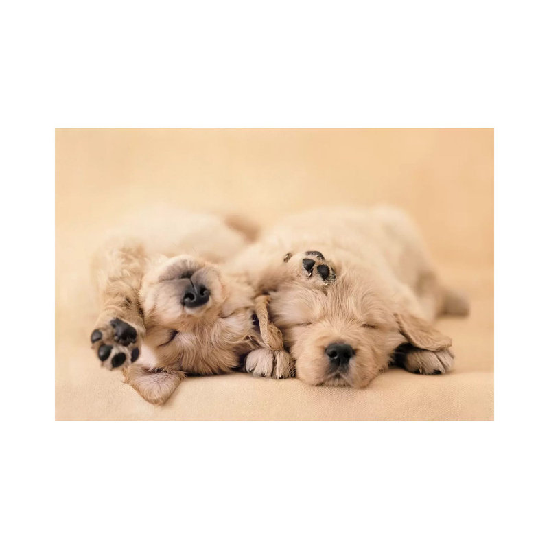 Jay and Connie 1 Piece Wall Art on Canvas, 101.6 cm H x 66.04 cm W x 1.91 cm D, Wrapped Canvas