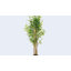 Anilya Faux Bamboo Plant-1266186500