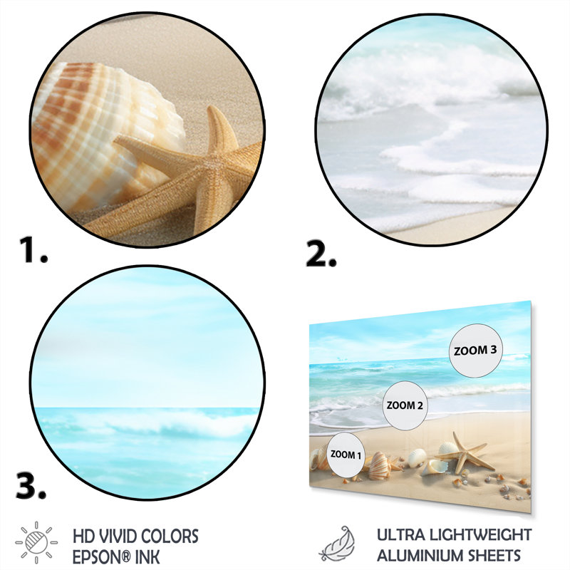 Étoile de mer et coquillages III - Décoration murale moderne plage en métal, H 12 po x l 20 po x P 1 po